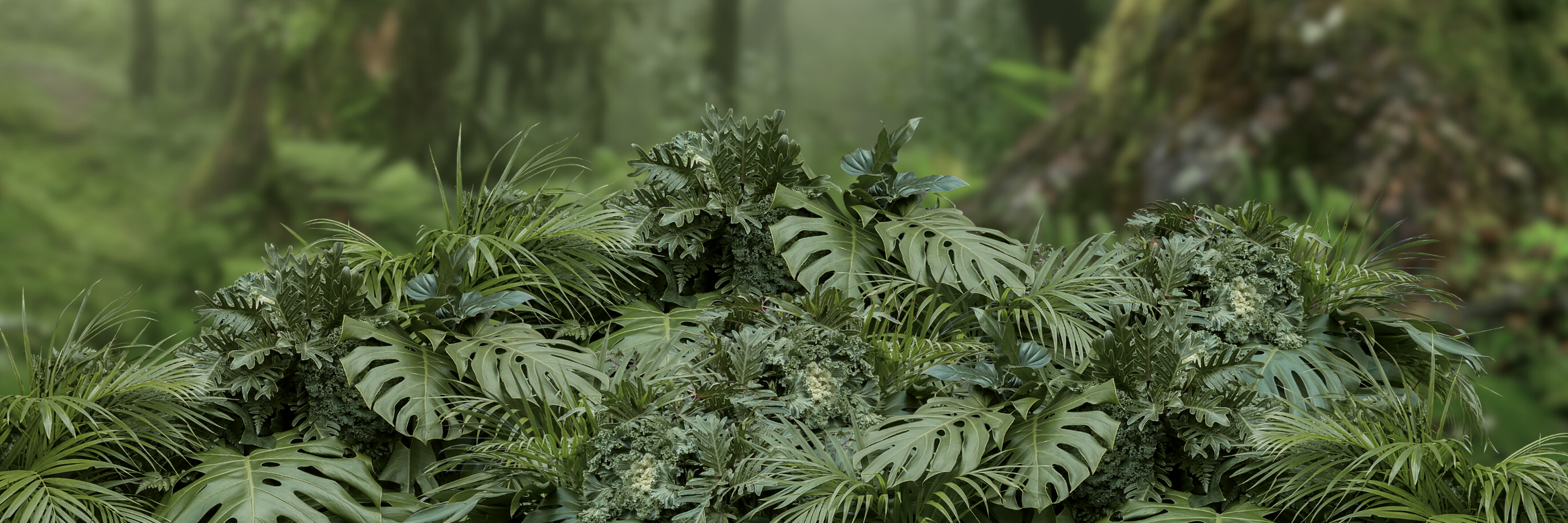 various greenery against a forest background