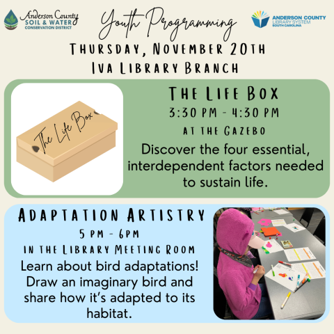 The Life box & Adaptation Artistry