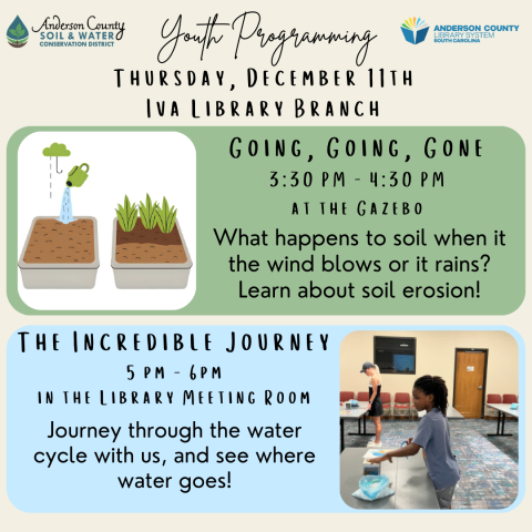 Going, Going, Gone & The incredible Journey