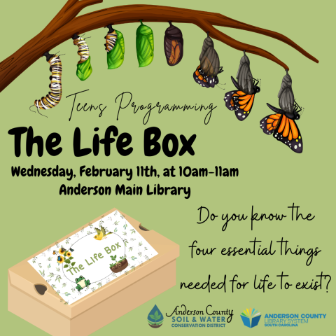 The Life Box