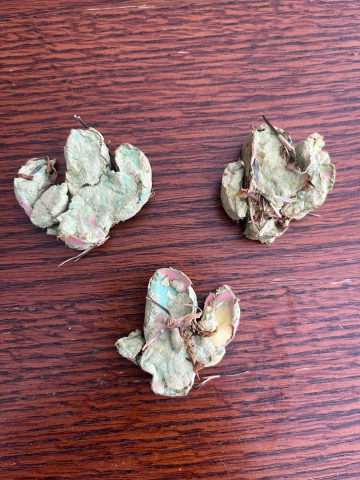 Three flower seed bombs in the shapes of cactus plants