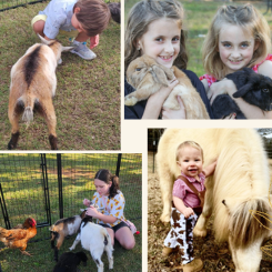 Image from Charm Farm permission granted