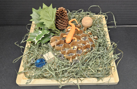 "The Salamander Room"