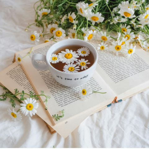 book club image from canva approved by rachel