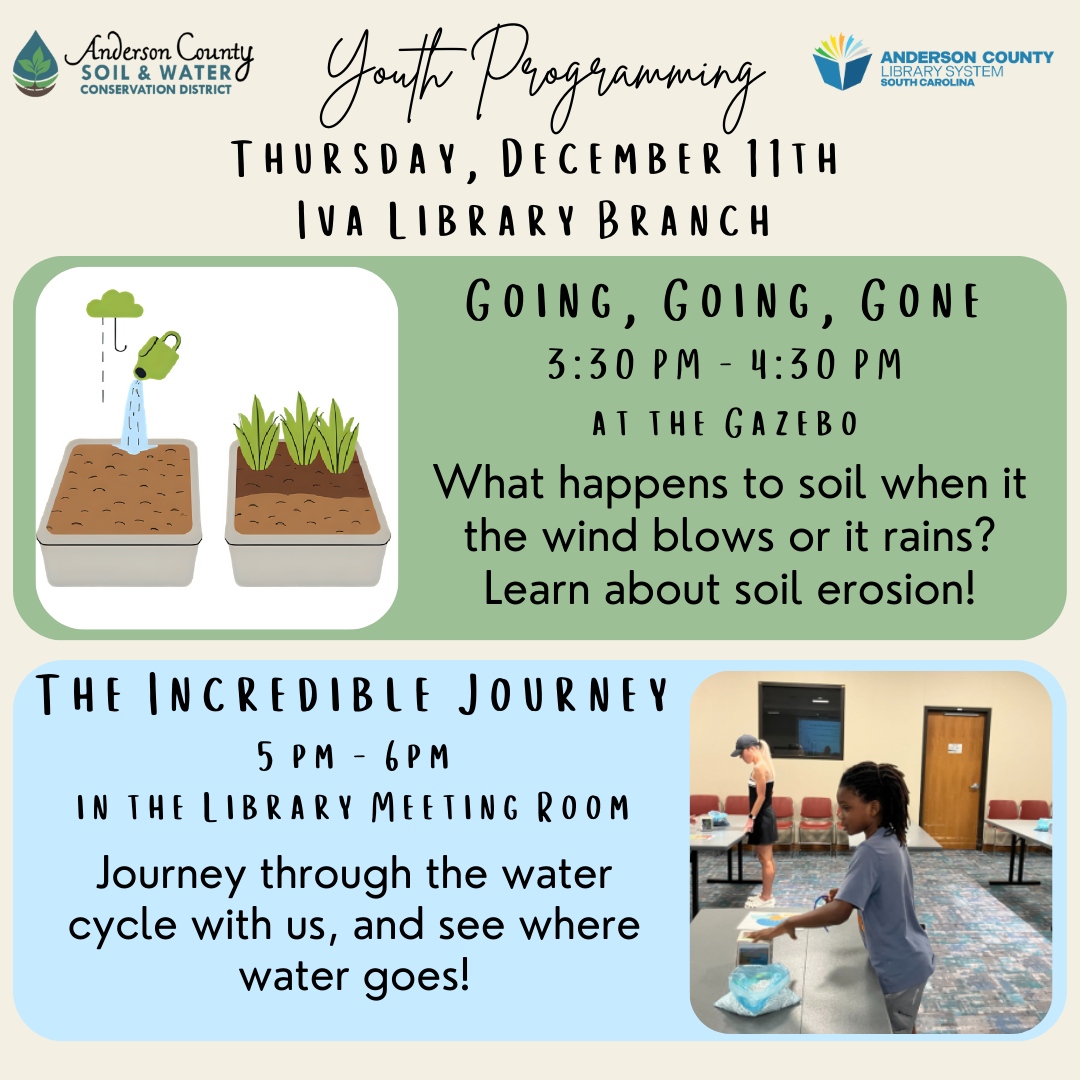 Going, Going, Gone & The incredible Journey