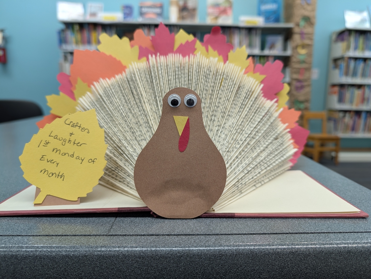 Book Turkey
