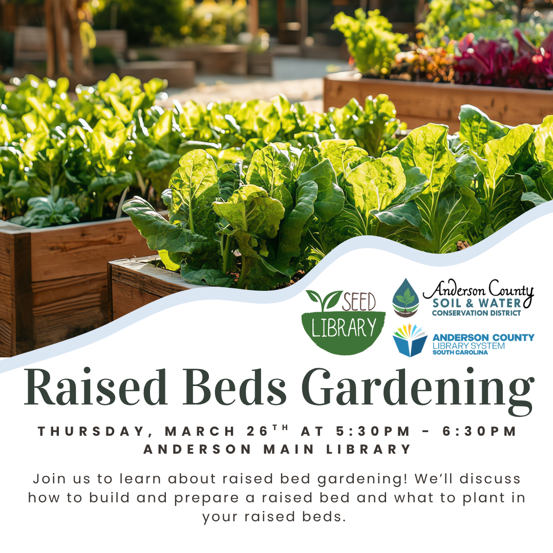 raised bed gardening