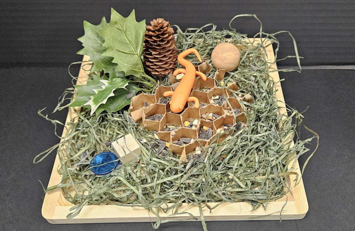 "The Salamander Room"