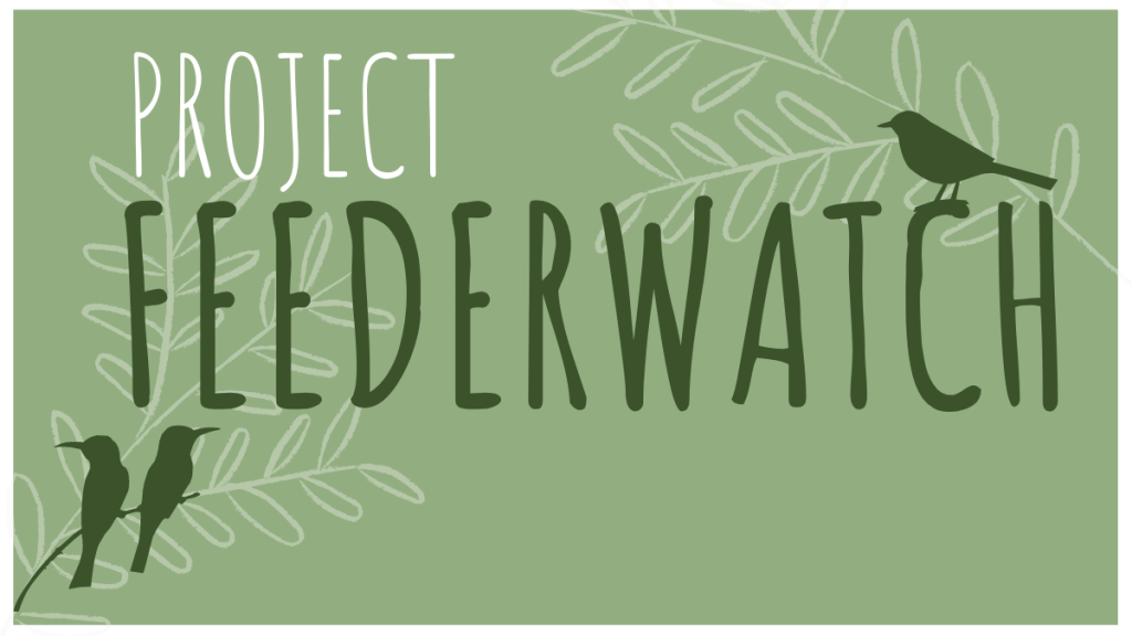 Be a Citizen Scientist with Project Feederwatch
