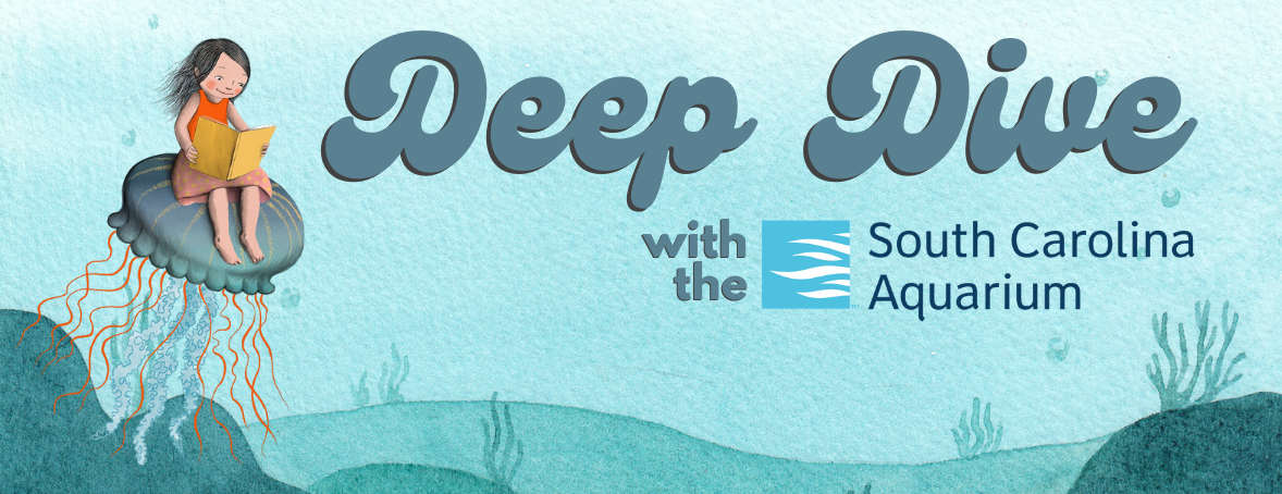 Deep Dive with the South Carolina Aquarium